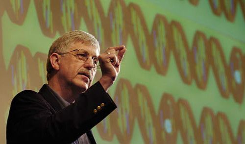 201409121641462863.jpg 201409121641462863.jpg