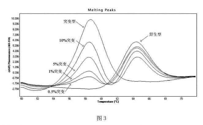 结果