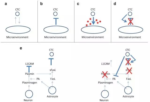 640.webp (14).jpg 640.webp (14).jpg