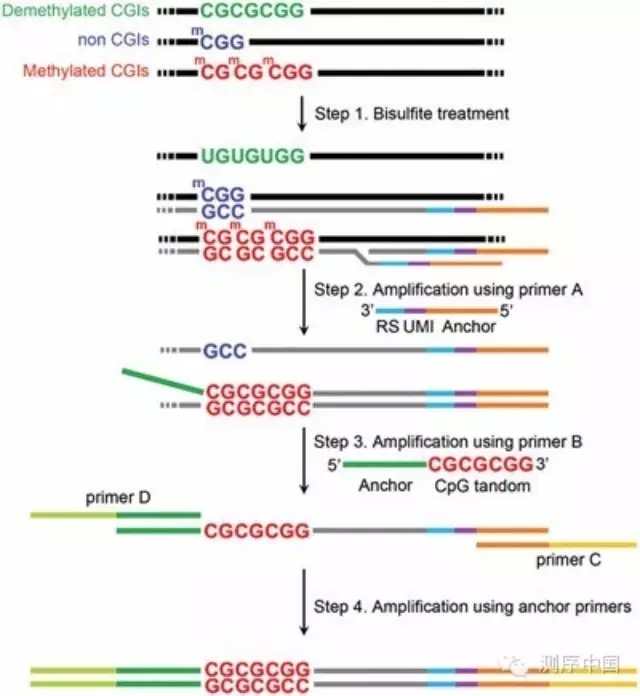 640.webp (1).jpg
