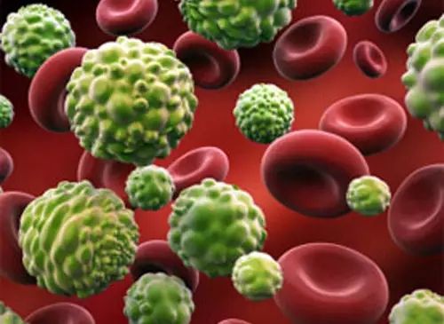 640.webp (7).jpg 640.webp (7).jpg