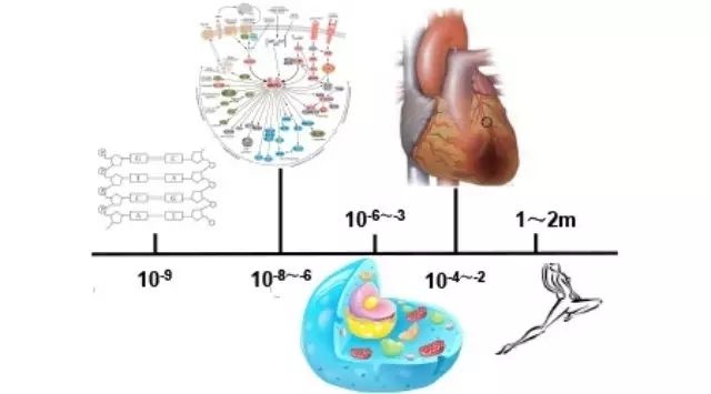 640.webp.jpg 640.webp.jpg