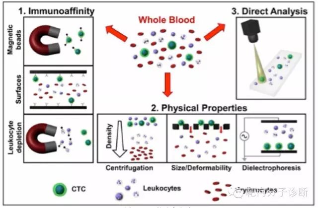 640.webp (7).jpg 640.webp (7).jpg