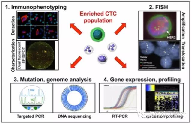 640.webp (8).jpg 640.webp (8).jpg