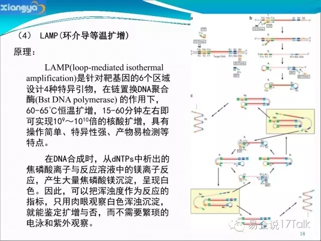 0.webp (9).jpg