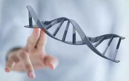 640.webp.jpg 640.webp.jpg