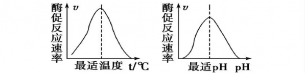 2b31aa6872234b0ed8530dda2297638b.png