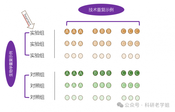 735d9ff377379a09a716058b1fde2d4a.png