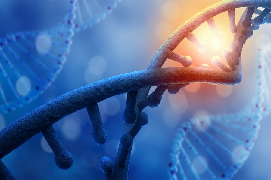 基因,体外诊断,肿瘤,基因检测